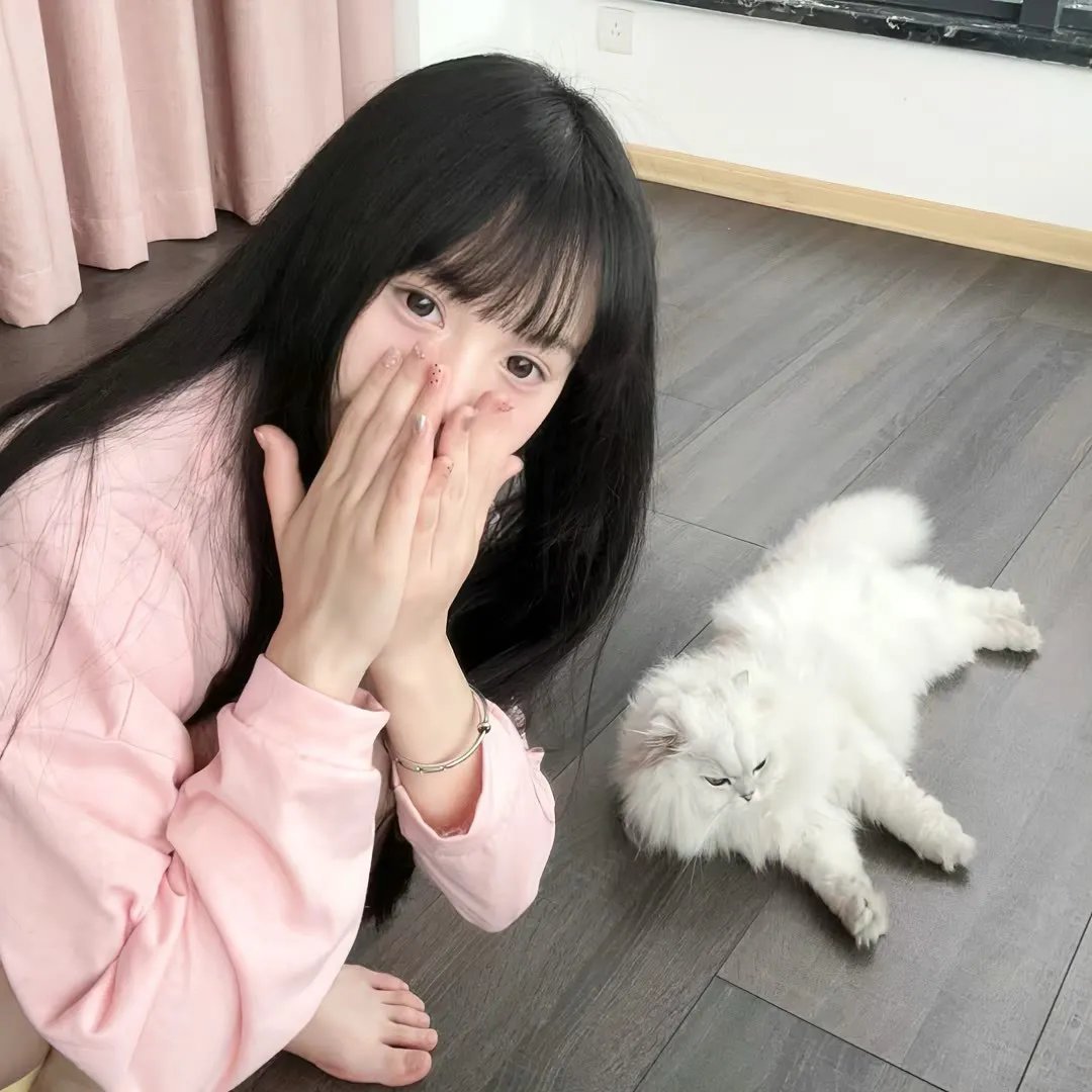 乱马12